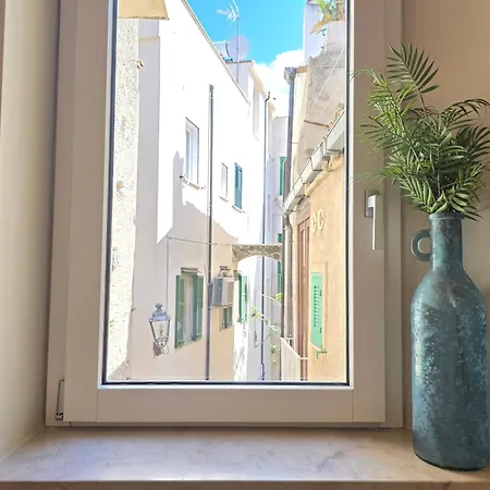 Boutique Domus