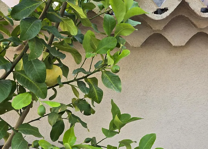 Boutique Domus شقة *